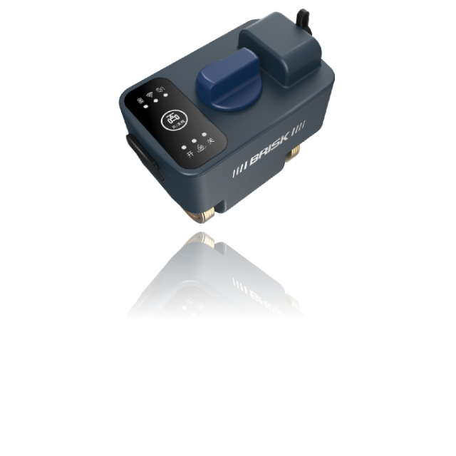 Protetor de vazamento de água do tipo sonda